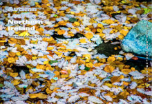 Landscapes Northern Ireland 4 (Landscape)