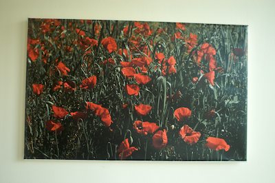 Vivid Giclee Canvas