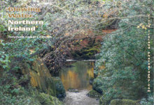 Glowing Water Landscapes Northern Ireland 3