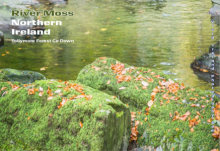 River Moss Northern Ireland 1 (Landscape)