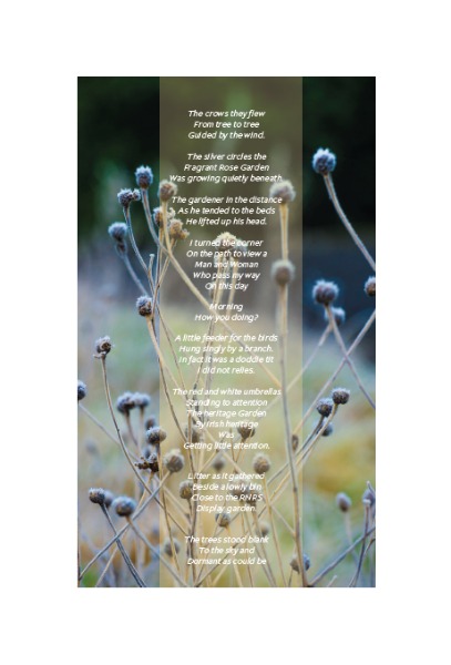 Poems Songs Thoughts