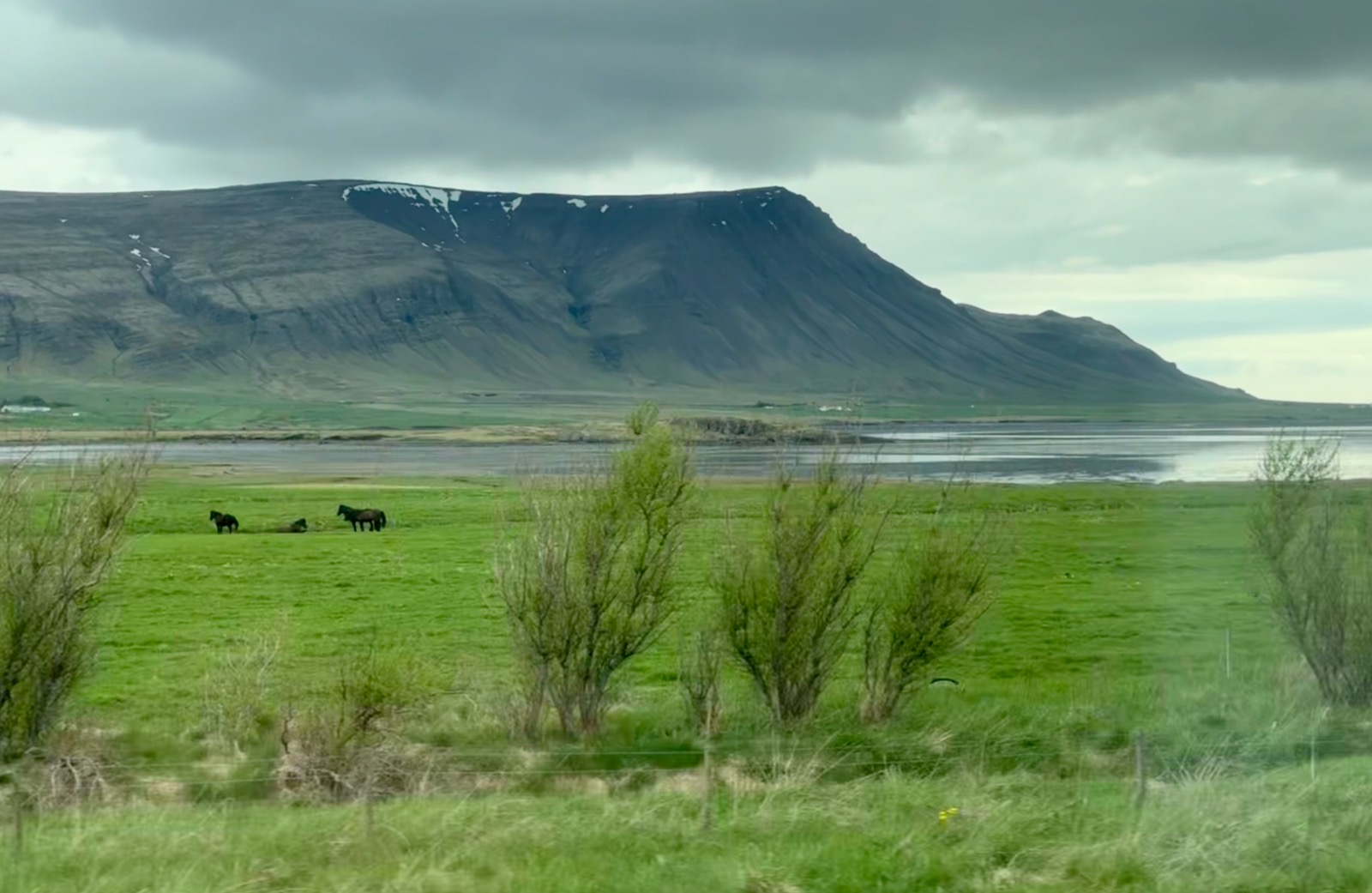 Arnarfjordur