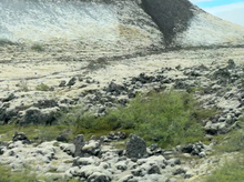 Lava Moss 1