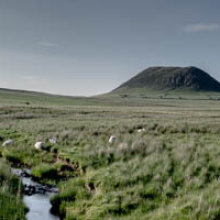 Slemish Mountain in Summer