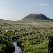 Slemish Mountain in Summer 2