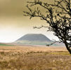 Slemish Mountain