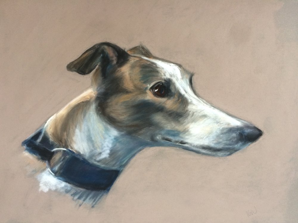 Charlie the Greyhound