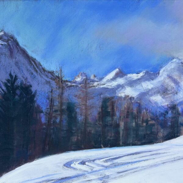 Alpine landscape from the top of the funicular in Champoluc, Val d’Aosta. With pine trees and mountains