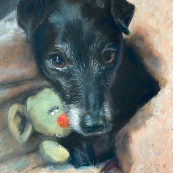 Little black dog with her favourite toy