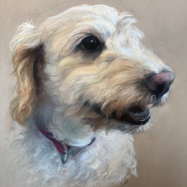 Buzz - 2 years later