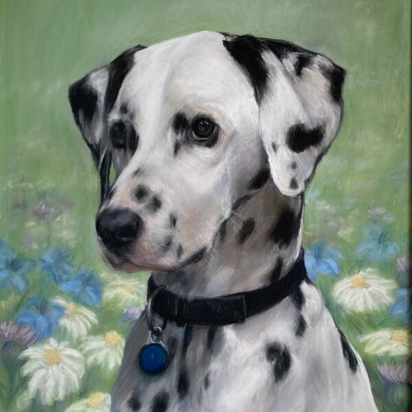 Eddie, the Dalmation