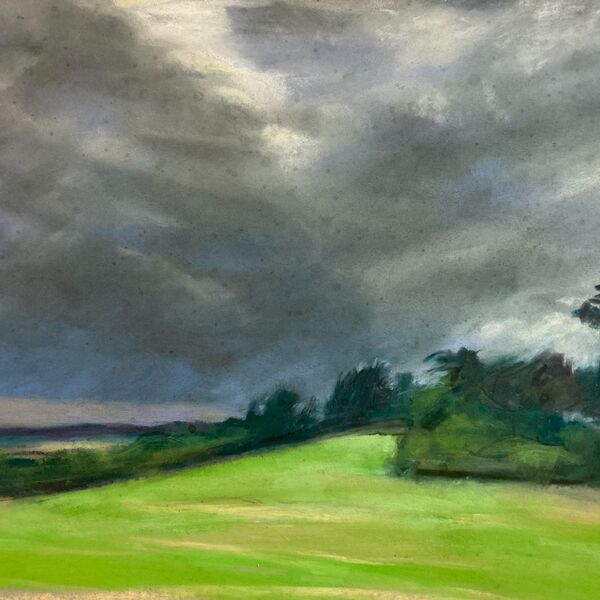 View from the Walberswick Allotments, July 2023