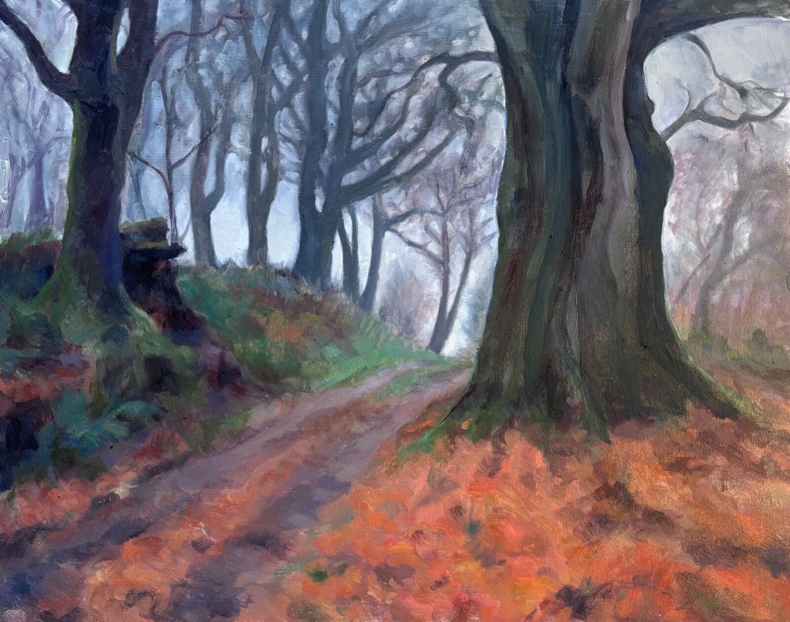 Autumn trees at Kilninver with golden leaves and a track