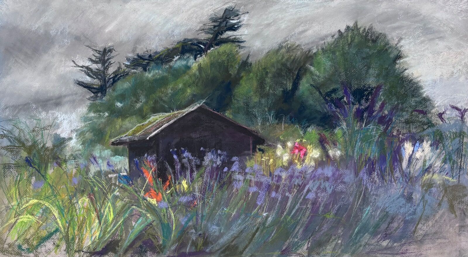 Walberswick allotments July 2025