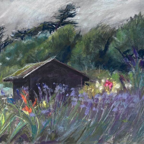 Walberswick allotments July 2025