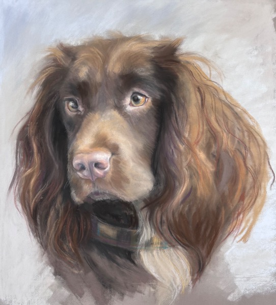 How to Commission a Portrait of your Pet