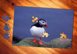 Puffin jigsaw (14)