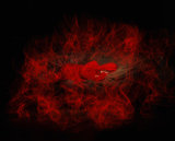 Sleeping Beauty (20)