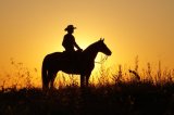 Tuscany cowboy (16)