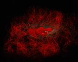 Sleeping beauty (15)