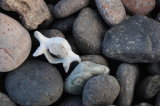 Beach stones
