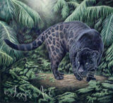 Black Jaguar in the jungle completed in coloured pencils