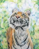 'Along Came A Tiger'