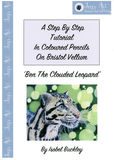Big Cat Downloadable Tutorials