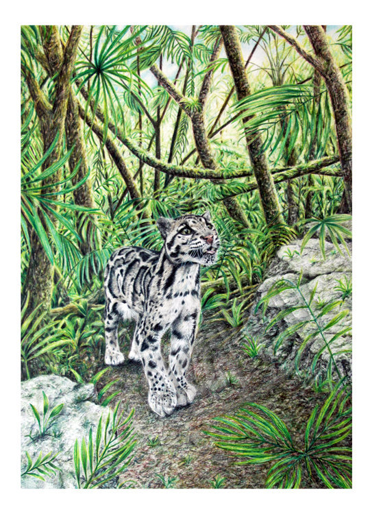 'Clouded Leopard' Card