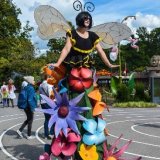 Insect Lady