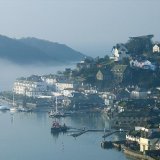 Misty Morning