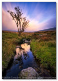 Wicklow reflections