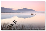 Still morning at Lough Lenane