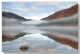 Misty reflections