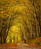 Autumn walk
