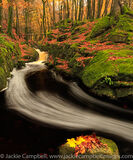Cloghleagh River Long Exposure