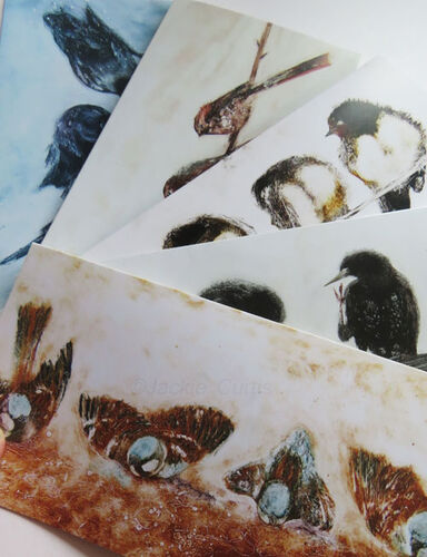 Multi Pack DL Birds