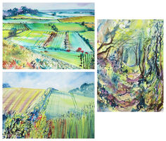 Pen and Ink Multi Pack