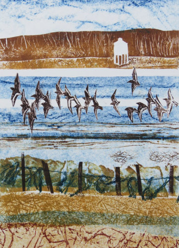 View from Steart Cards