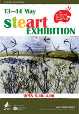 ART & NATURE AT STEART MARSHES