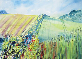 Summer Fields and Hedgerow