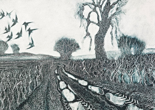 Winter Lane