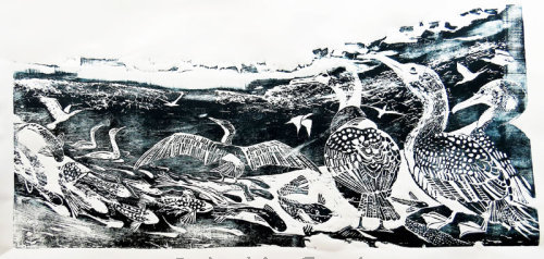 Cormorants and Fish