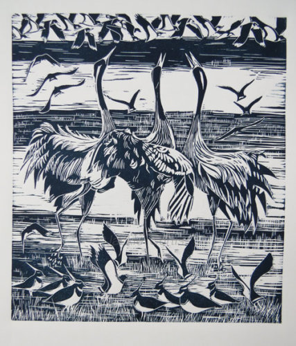 Cranes and Lapwings