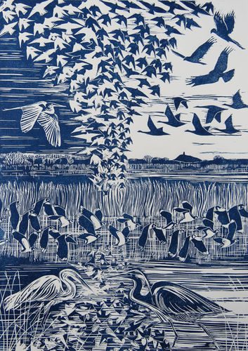 Energy of Starlings