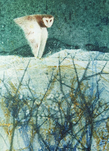 Owl over meadow cards