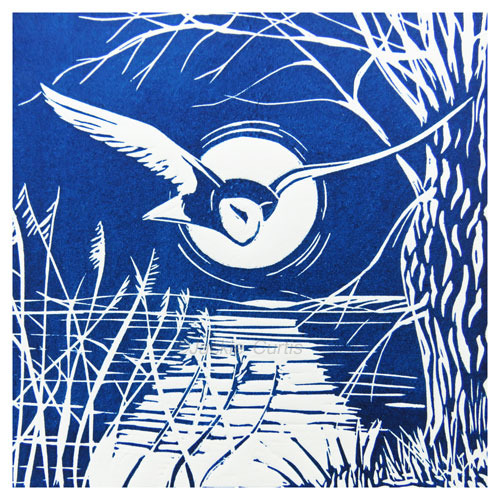 Night Flight Barn Owl