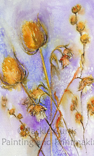 Teasels and Thistles