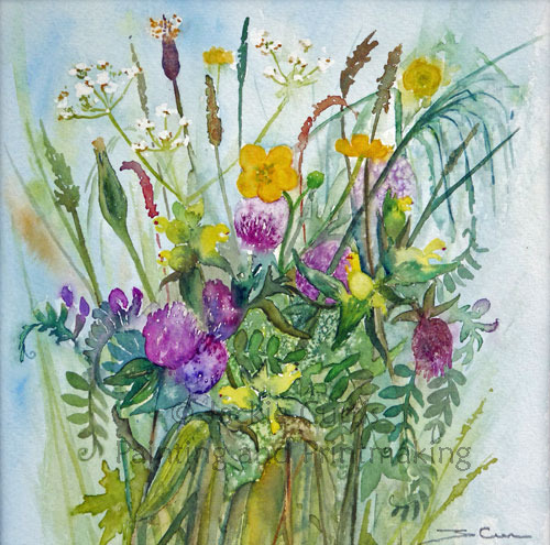 Wild Flowers