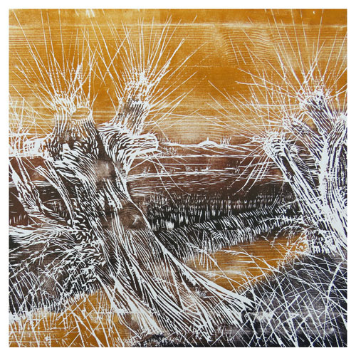 Willow Cards